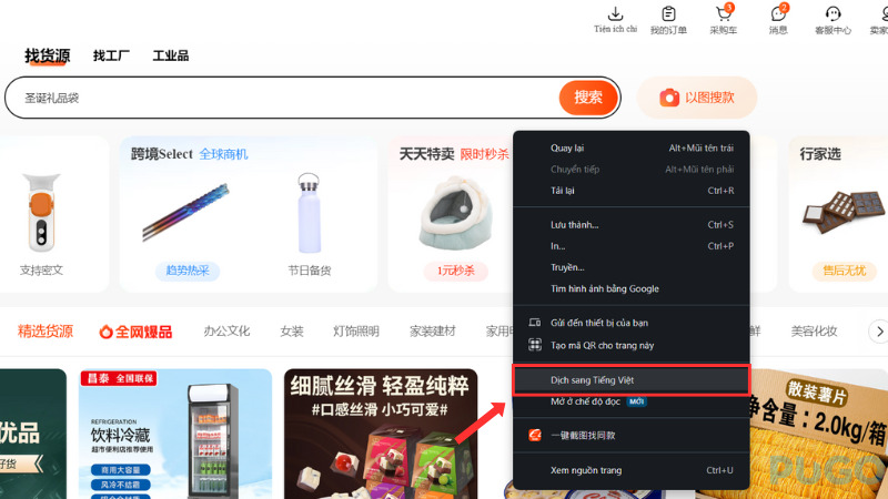 Dịch sang tiếng Việt
