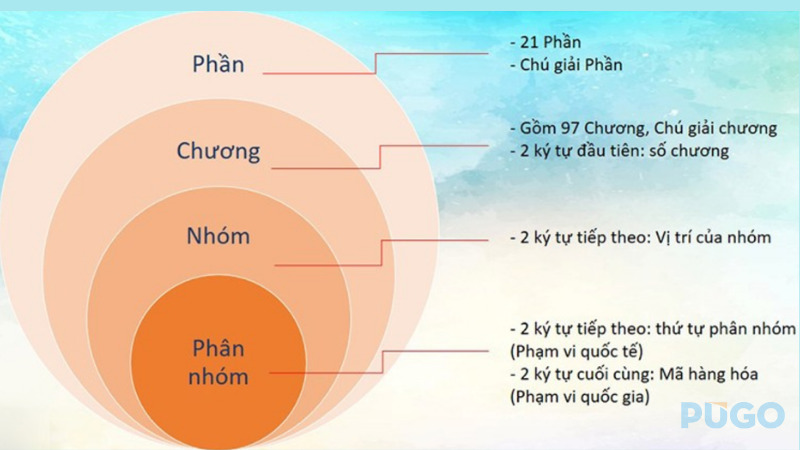 Cấu trúc của mã HS code Cấu trúc của mã HS code