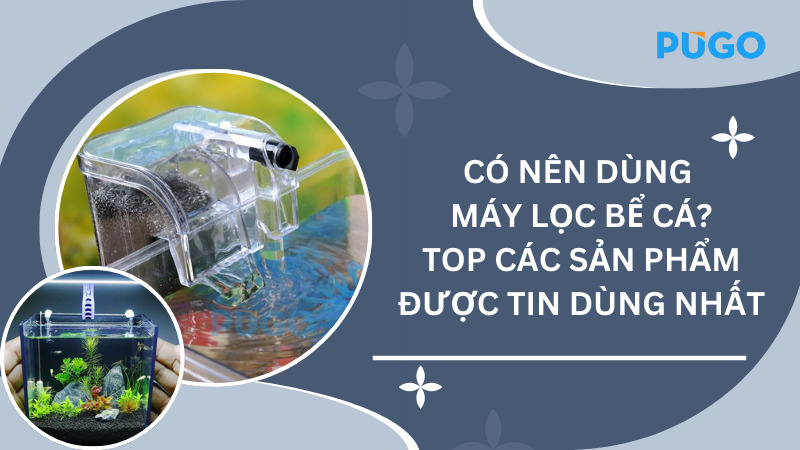 Có nên dùng máy lọc bể cá? Top các sản phẩm được tin dùng nhất Có nên dùng máy lọc bể cá? Top các sản phẩm được tin dùng nhất