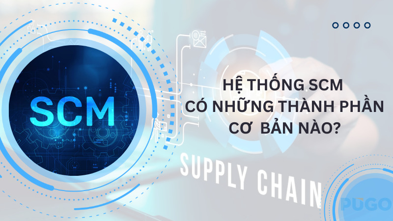 Hệ thống SCM có những thành phần cơ bản nào?