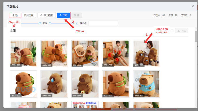 Cách tải hình ảnh về