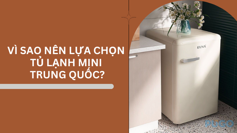 Vì sao nên lựa chọn tủ lạnh mini Trung Quốc?