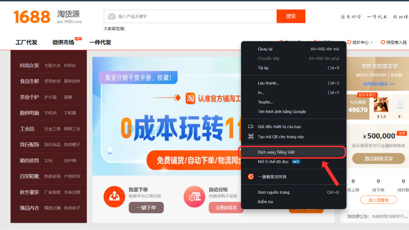 Dịch sang tiếng Việt Dịch sang tiếng Việt