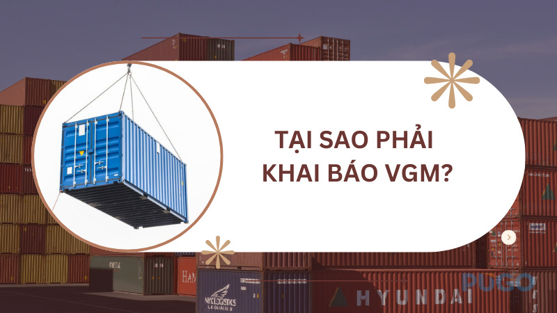 Tại sao phải khai báo VGM? Tại sao phải khai báo VGM?