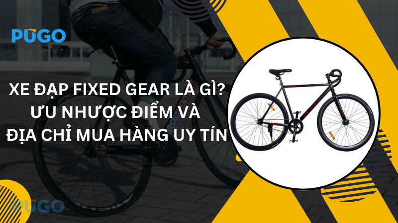 Xe đạp Fixed Gear là gì? Ưu nhược điểm và địa chỉ mua hàng uy tín Xe đạp Fixed Gear là gì? Ưu nhược điểm và địa chỉ mua hàng uy tín