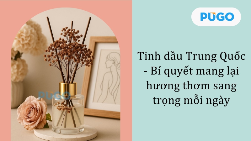 Tinh dầu Trung Quốc - Bí quyết mang lại hương thơm sang trọng mỗi ngày Tinh dầu Trung Quốc - Bí quyết mang lại hương thơm sang trọng mỗi ngày