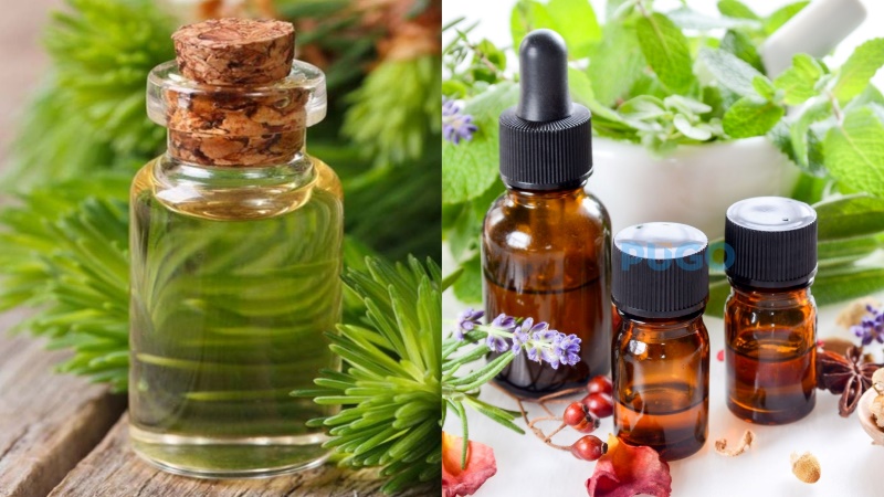 Tinh dầu massage Tinh dầu massage