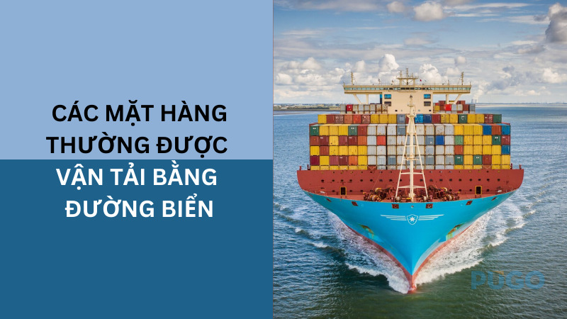 Các mặt hàng thường được vận tải bằng đường biển