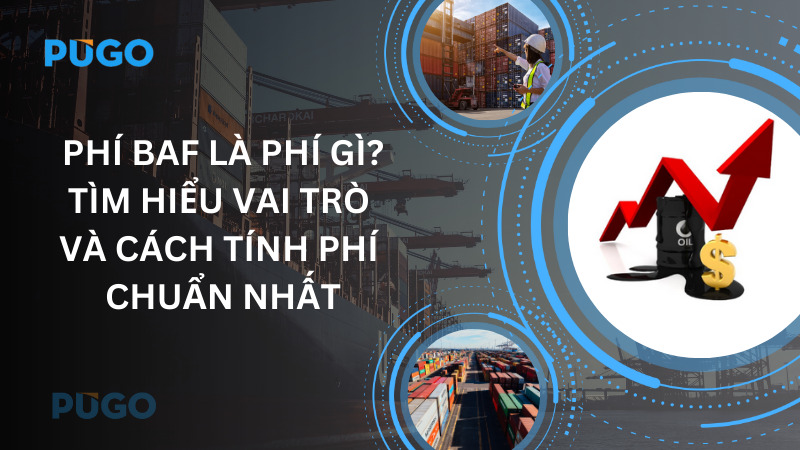 Phí BAF là phí gì? Tìm hiểu vai trò và cách tính phí chuẩn nhất Phí BAF là phí gì? Tìm hiểu vai trò và cách tính phí chuẩn nhất