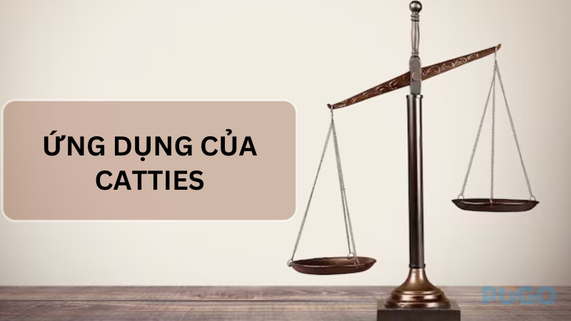Ứng dụng của Catties Ứng dụng của Catties