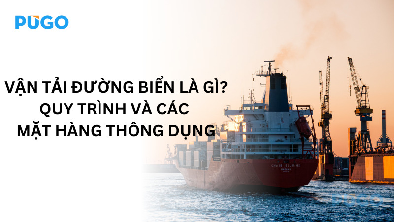 Vận tải đường biển là gì? Quy trình và các mặt hàng thông dụng