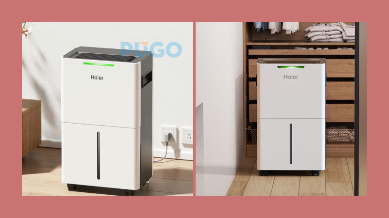 Máy hút ẩm Haier