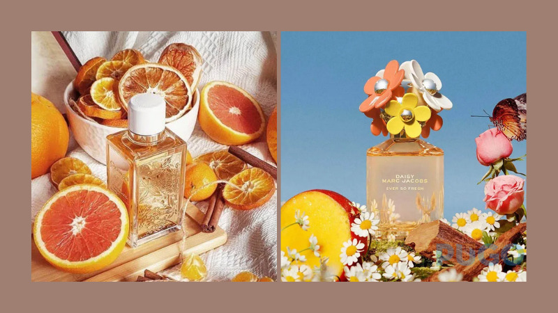 Hương trái cây ngọt ngào Hương trái cây ngọt ngào