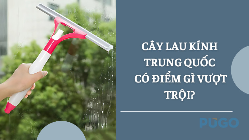Cây lau kính Trung Quốc có điểm gì vượt trội? Cây lau kính Trung Quốc có điểm gì vượt trội?