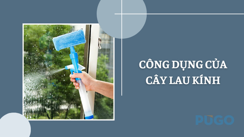 Công dụng của cây lau kính Công dụng của cây lau kính
