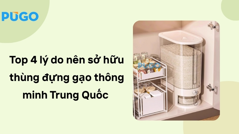 Top 4 lý do nên sở hữu thùng gạo thông minh Trung Quốc Top 4 lý do nên sở hữu thùng gạo thông minh Trung Quốc