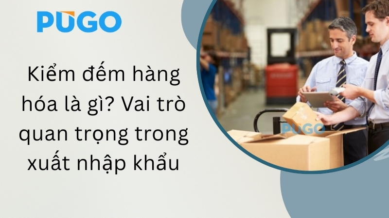 Kiểm đếm hàng hóa là gì? Vai trò quan trọng trong xuất nhập khẩu